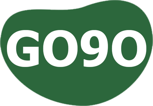 vngo9o.com Logo
